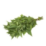 demo-attachment-325-Group-292